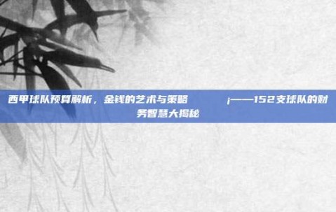 西甲球队预算解析，金钱的艺术与策略💵💡——152支球队的财务智慧大揭秘