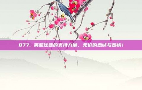 877. 英超球迷的支持力量，无价的忠诚与热情！