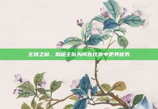 主场之利，揭秘主队为何在比赛中更具优势