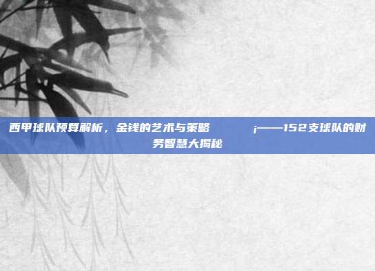 西甲球队预算解析，金钱的艺术与策略💵💡——152支球队的财务智慧大揭秘