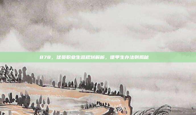 878，球员职业生涯规划解析，德甲生存法则揭秘📈